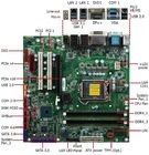 Intel H310C Chipset Micro ATX Motherboard 64GB Max Memoria LGA 1151 Socket
